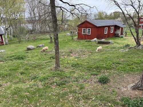 Fina hagar och gårdar längs vägen.