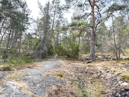 Stigen är kuperad och går över klippor på en del ställen, så bra skor är fint att ha!