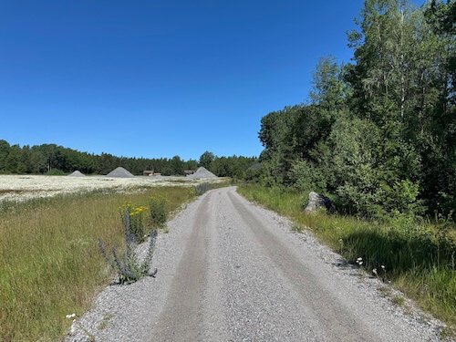 Leden börjar med skogsvägar. Lättgångna men kanske inte alltid så charmiga.