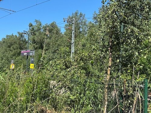 Rydbo station. Efter det börjar det trassla ordentligt.